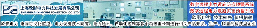 上海新穎電力